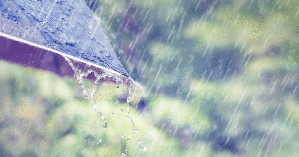 Rainy Weather and Gout